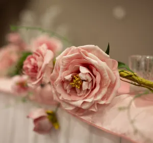 2026 Wedding Offer