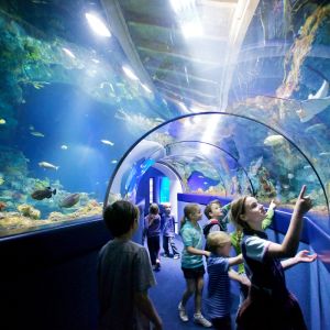 Bristol Aquarium.jpg