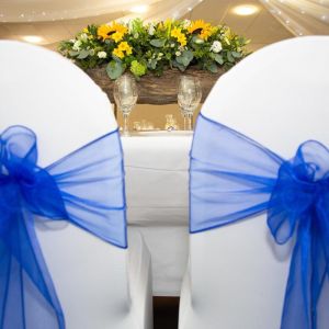 Plymouth Wedding Blue Bow.jpg